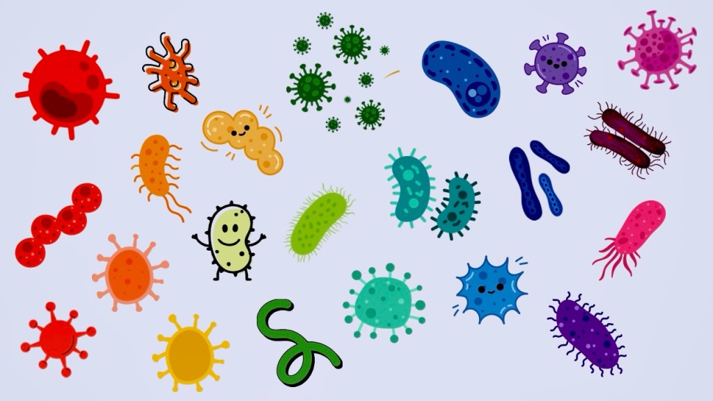 A Brief History of Public Health: Germ&nbsp;Theory