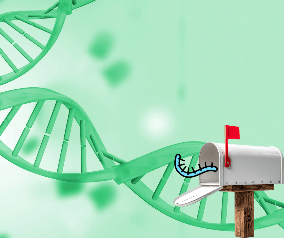 You’ve Got mRNA&nbsp;📬