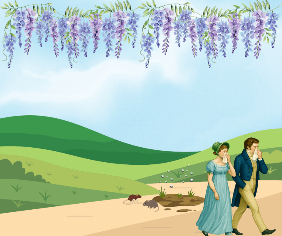 The Life of a&nbsp;Bridgerton