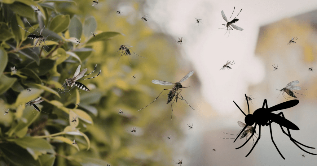 The World’s Deadliest&nbsp;Animal